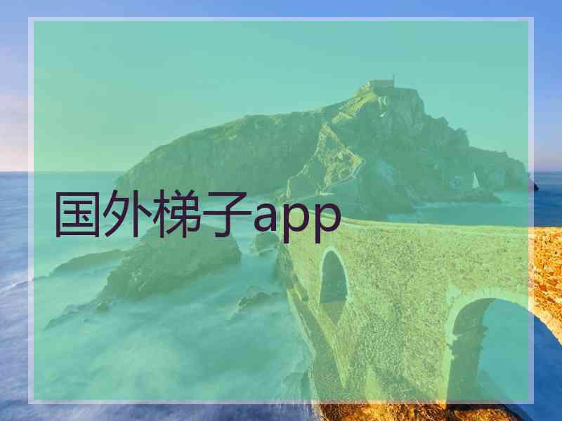 国外梯子app
