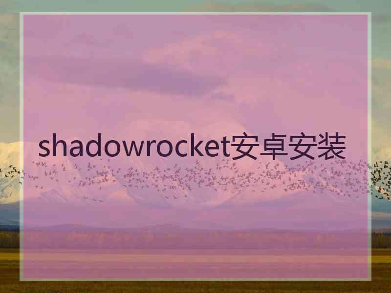 shadowrocket安卓安装