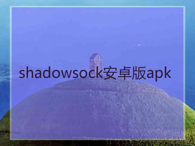 shadowsock安卓版apk