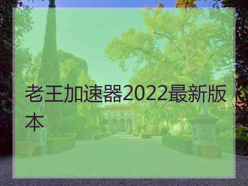 老王加速器2022最新版本