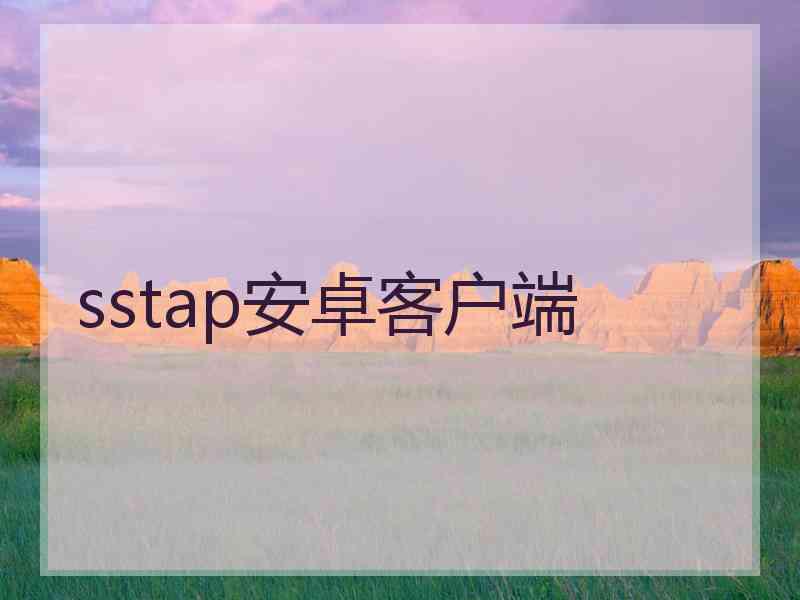 sstap安卓客户端