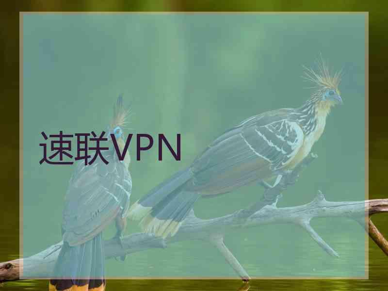 速联VPN