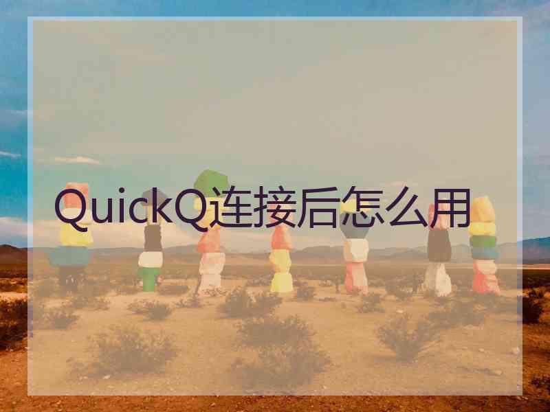 QuickQ连接后怎么用