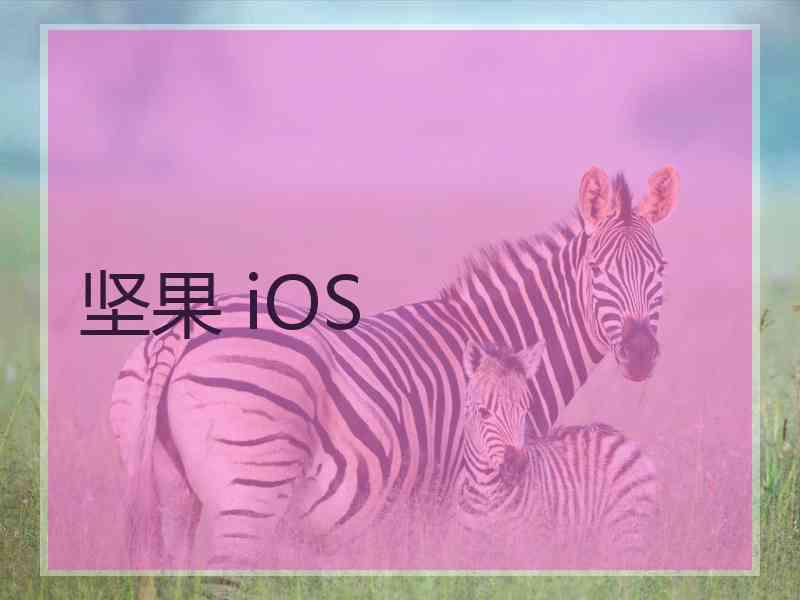 坚果 iOS
