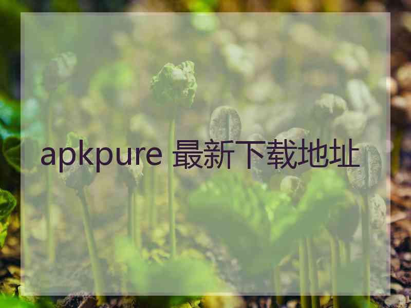 apkpure 最新下载地址