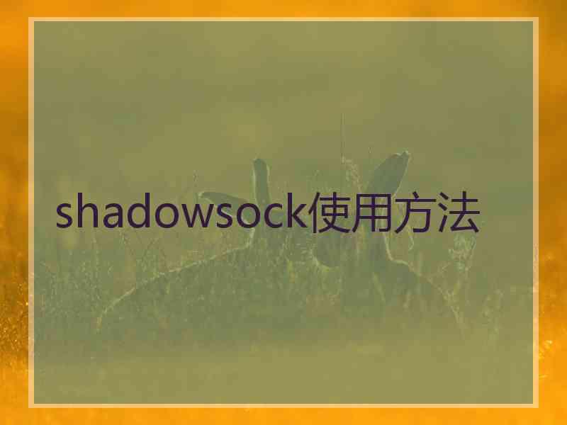 shadowsock使用方法