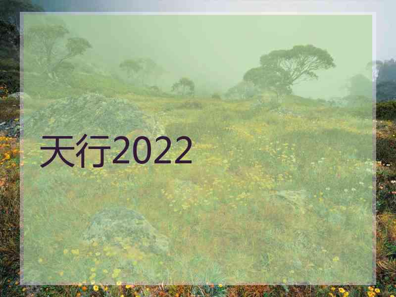 天行2022