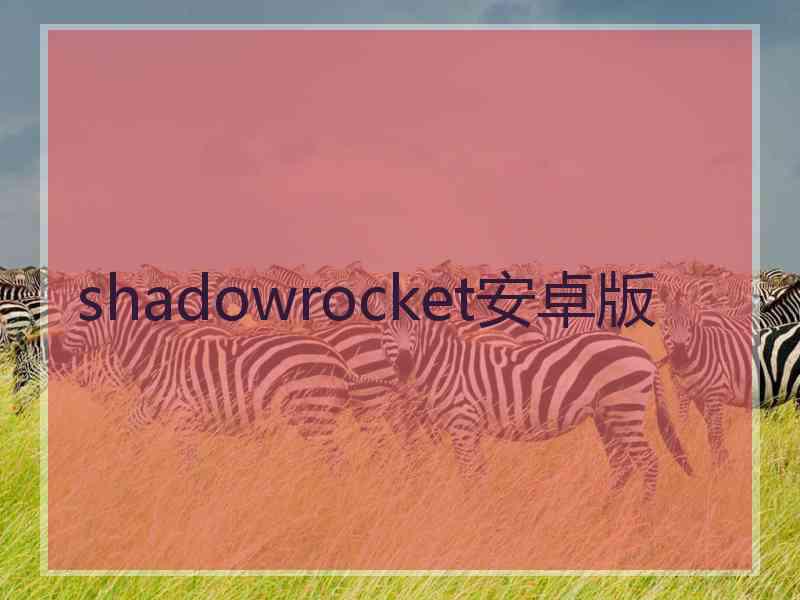 shadowrocket安卓版