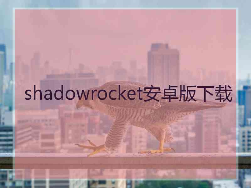 shadowrocket安卓版下载
