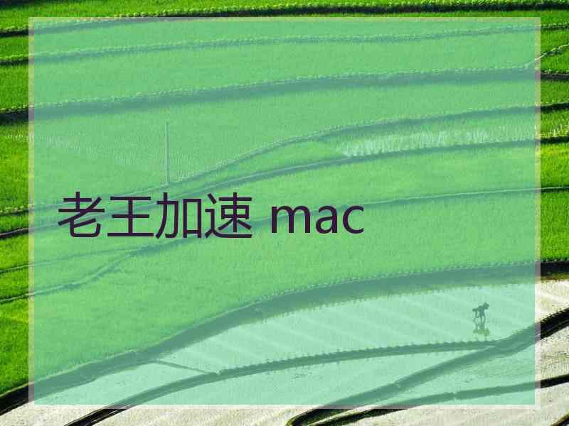 老王加速 mac