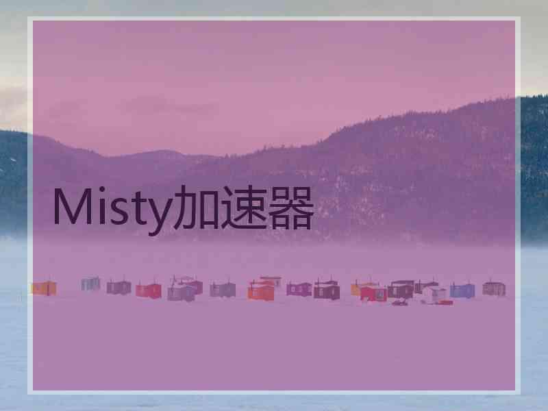 Misty加速器