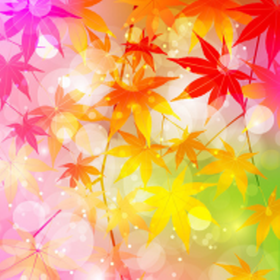 免费机场节点