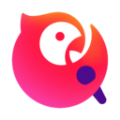 登陆ins需要什么软件