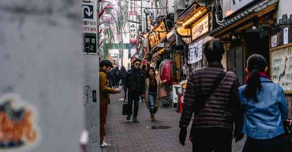 Vivo手机是否能下载ins