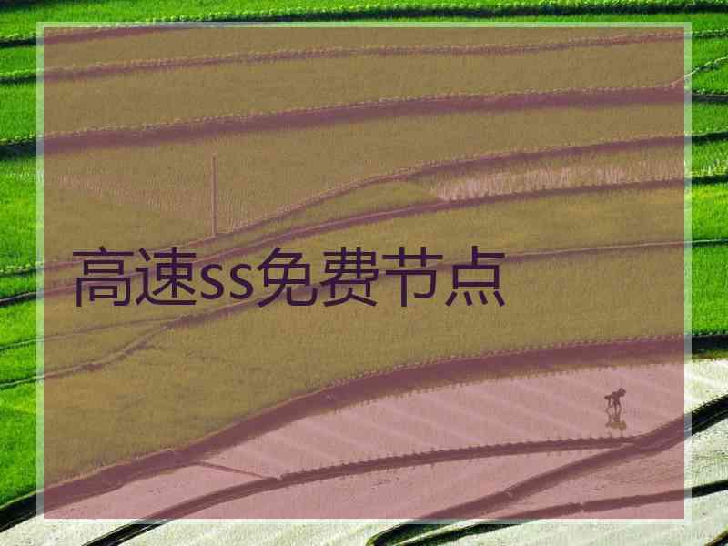 高速ss免费节点