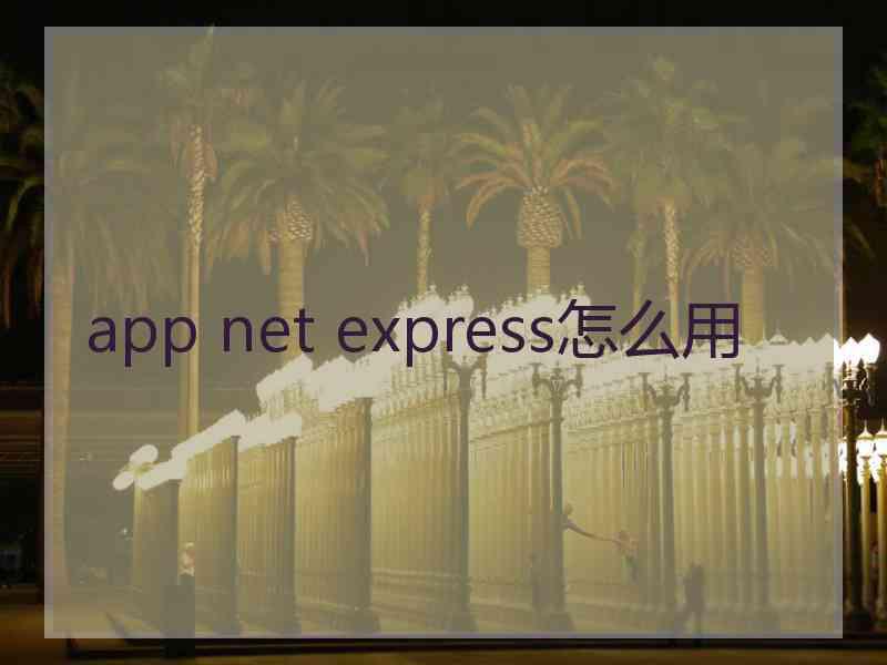app net express怎么用