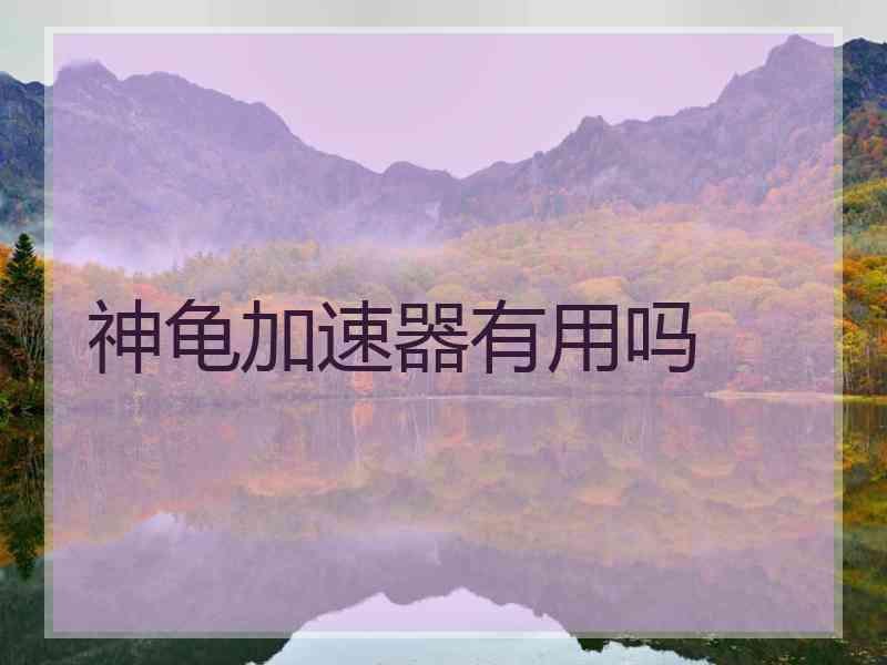 神龟加速器有用吗
