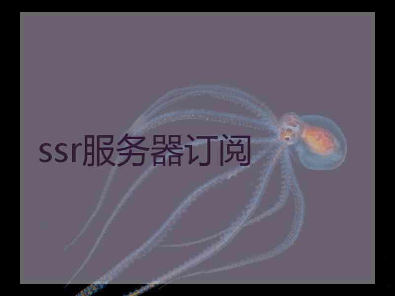 ssr服务器订阅