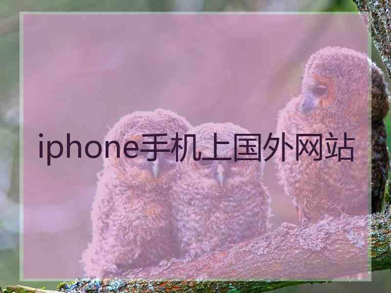 iphone手机上国外网站