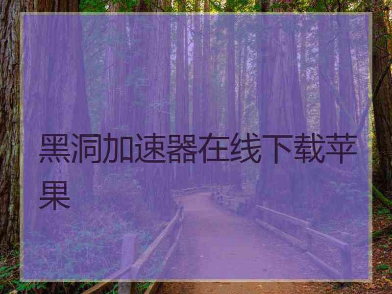 黑洞加速器在线下载苹果
