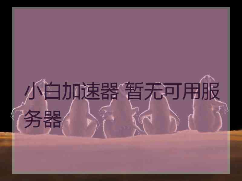 小白加速器 暂无可用服务器
