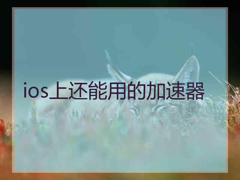 ios上还能用的加速器
