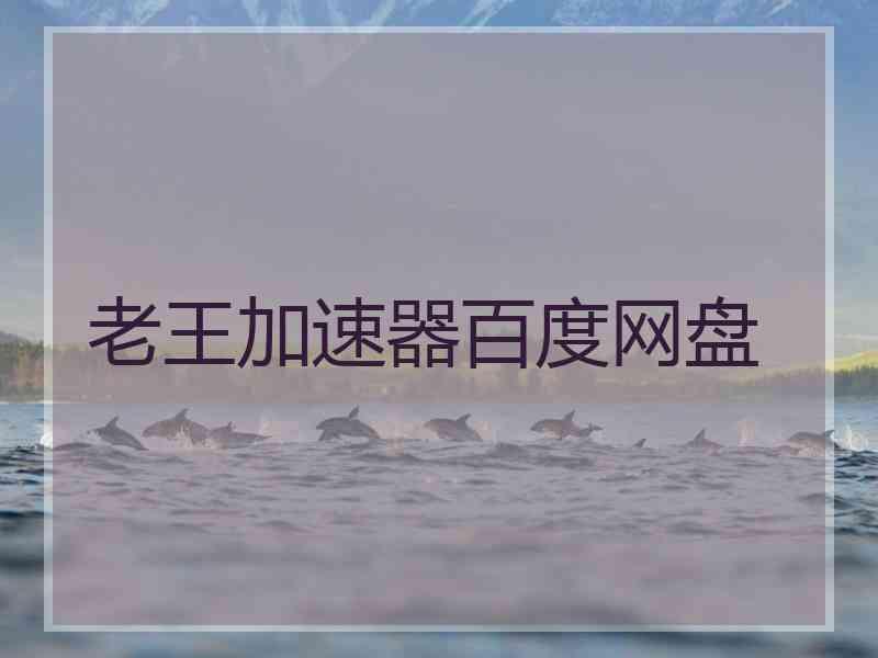 老王加速器百度网盘