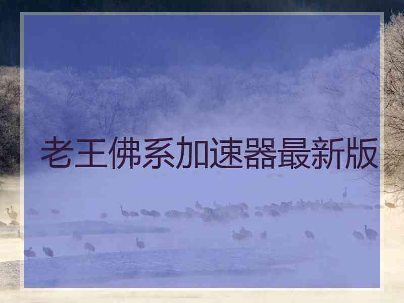 老王佛系加速器最新版