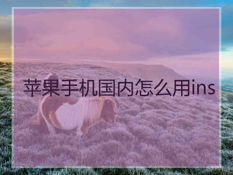 苹果手机国内怎么用ins
