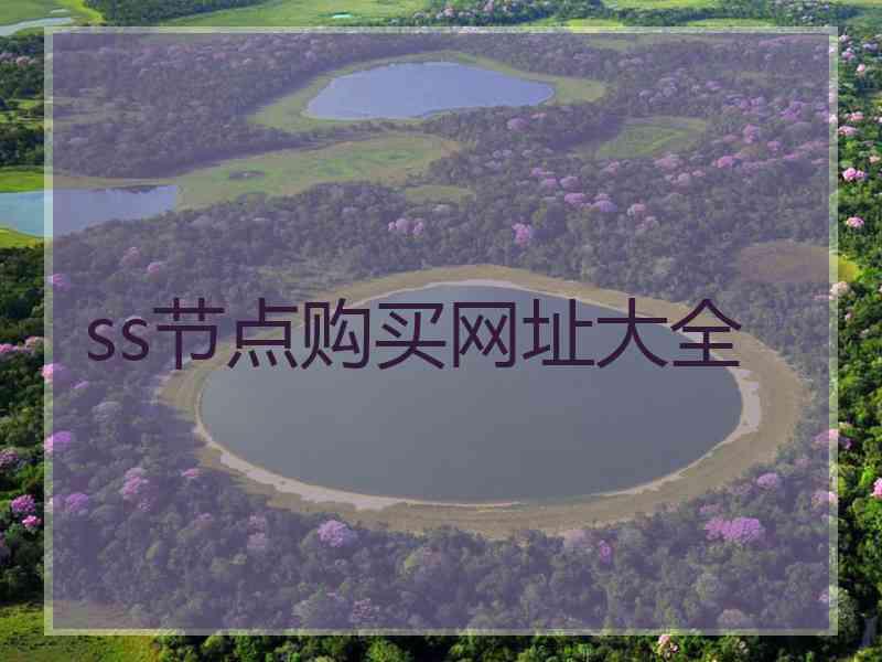 ss节点购买网址大全