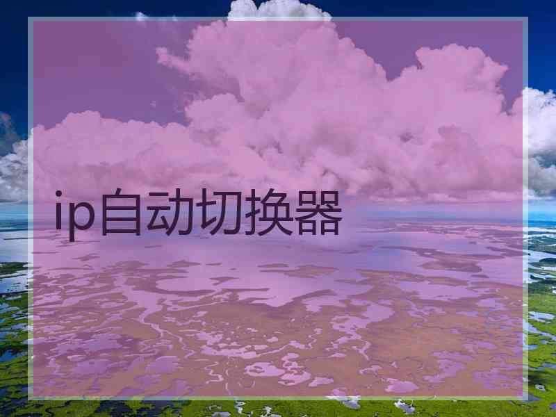 ip自动切换器