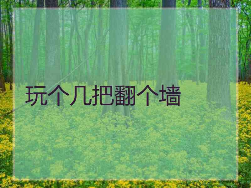 玩个几把翻个墙