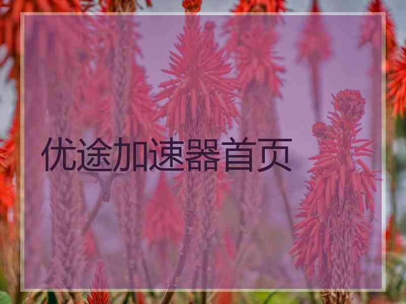 优途加速器首页