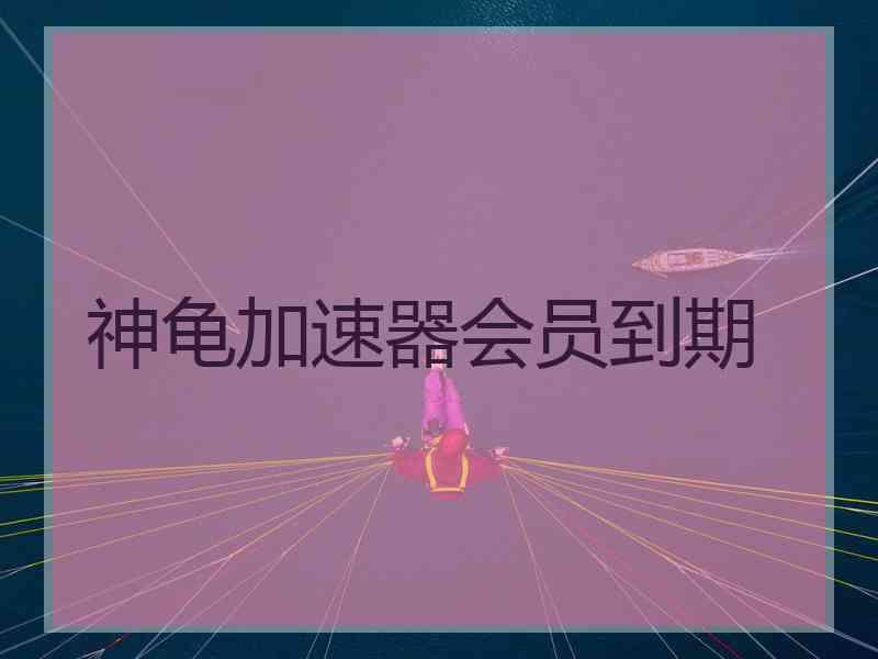 神龟加速器会员到期