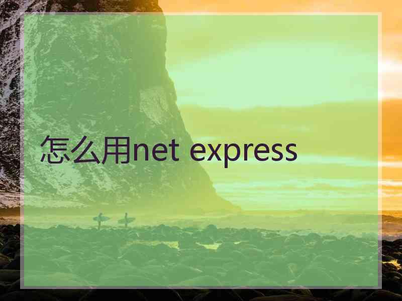 怎么用net express