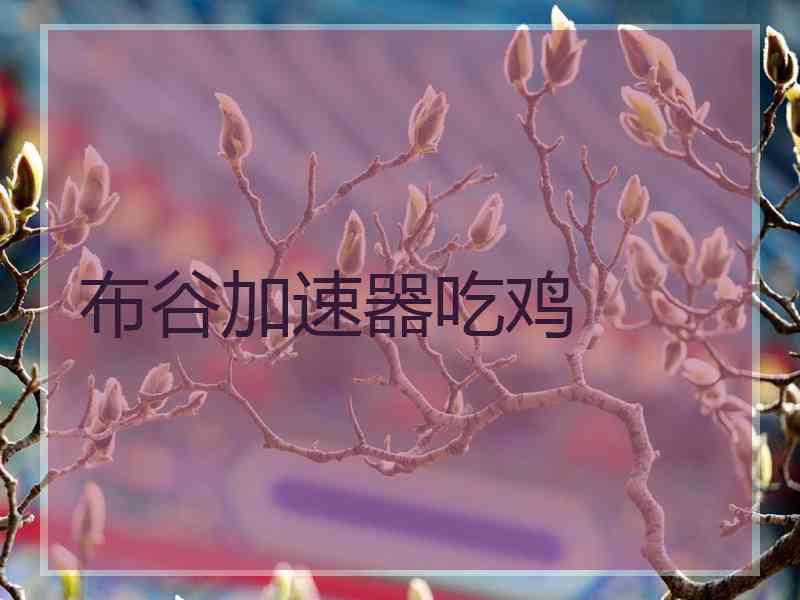 布谷加速器吃鸡