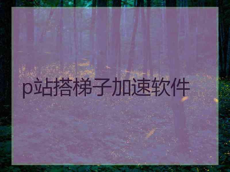 p站搭梯子加速软件