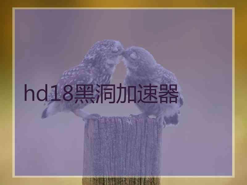 hd18黑洞加速器