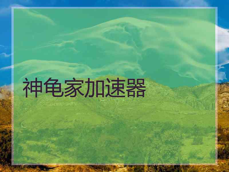 神龟家加速器