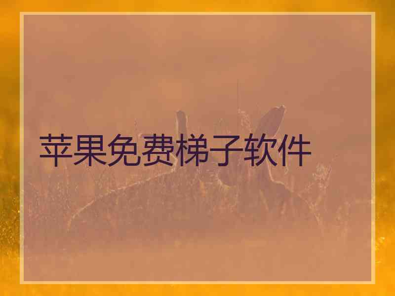 苹果免费梯子软件