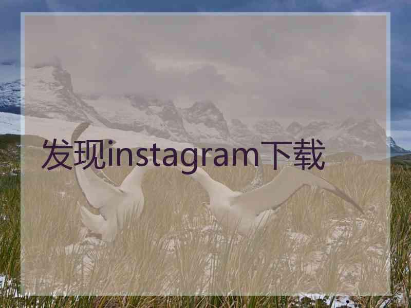 发现instagram下载
