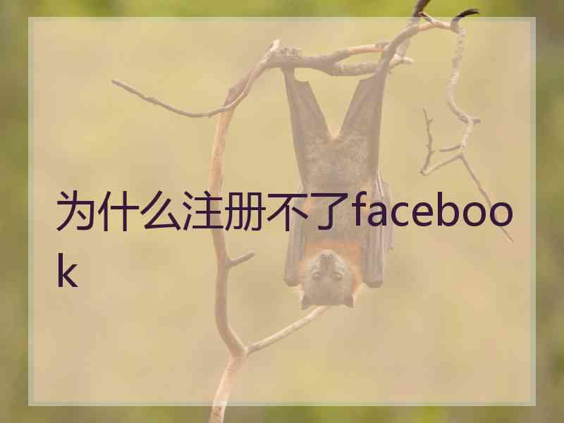 为什么注册不了facebook