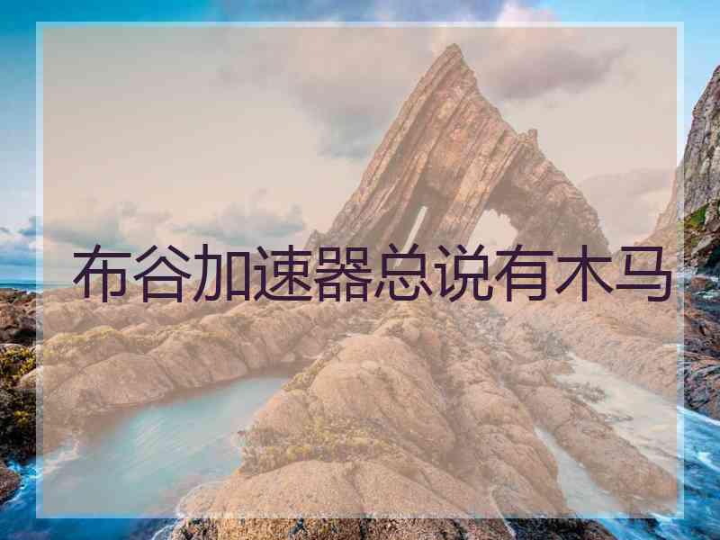布谷加速器总说有木马