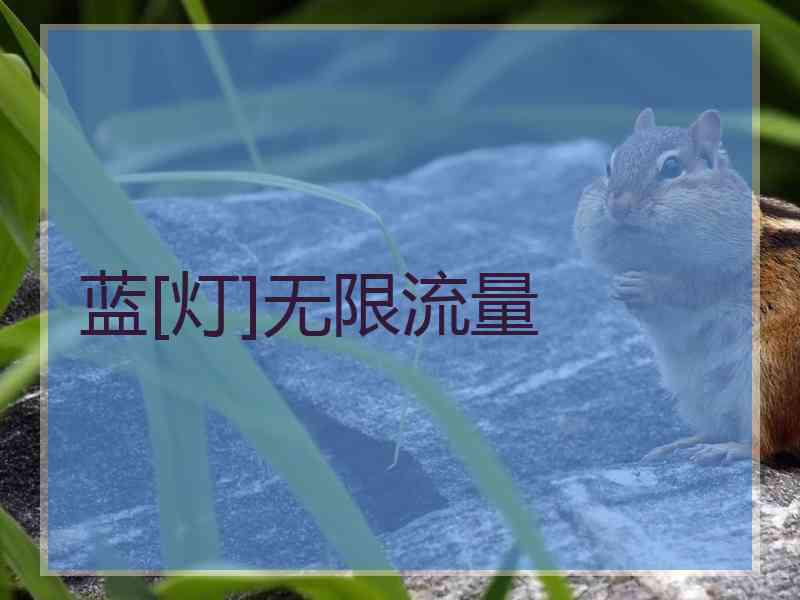 蓝[灯]无限流量