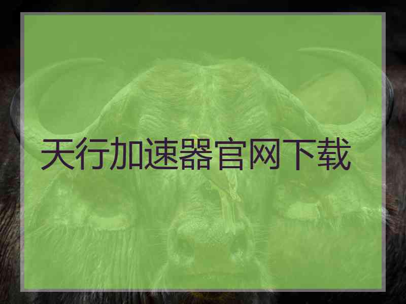 天行加速器官网下载