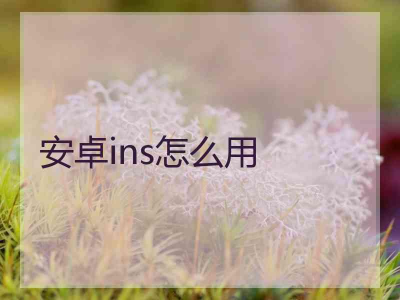 安卓ins怎么用