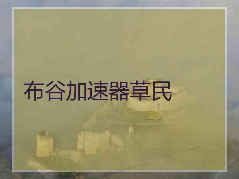 布谷加速器草民