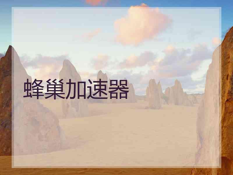 蜂巢加速器
