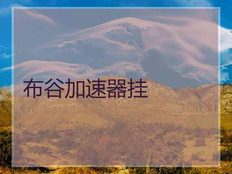 布谷加速器挂