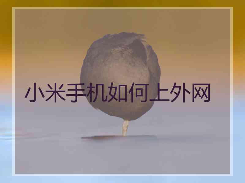 小米手机如何上外网